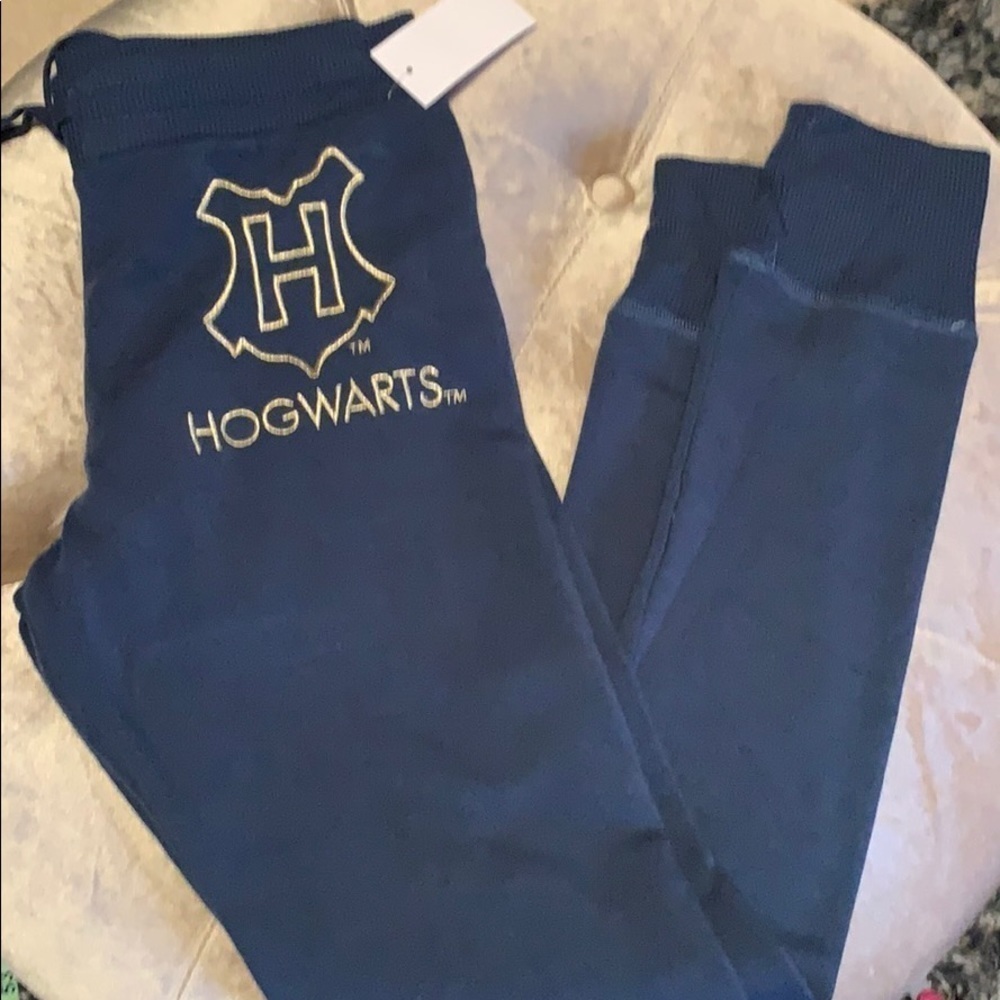 Harry Potter Hogwarts joggers, so cozy, blue, sm
